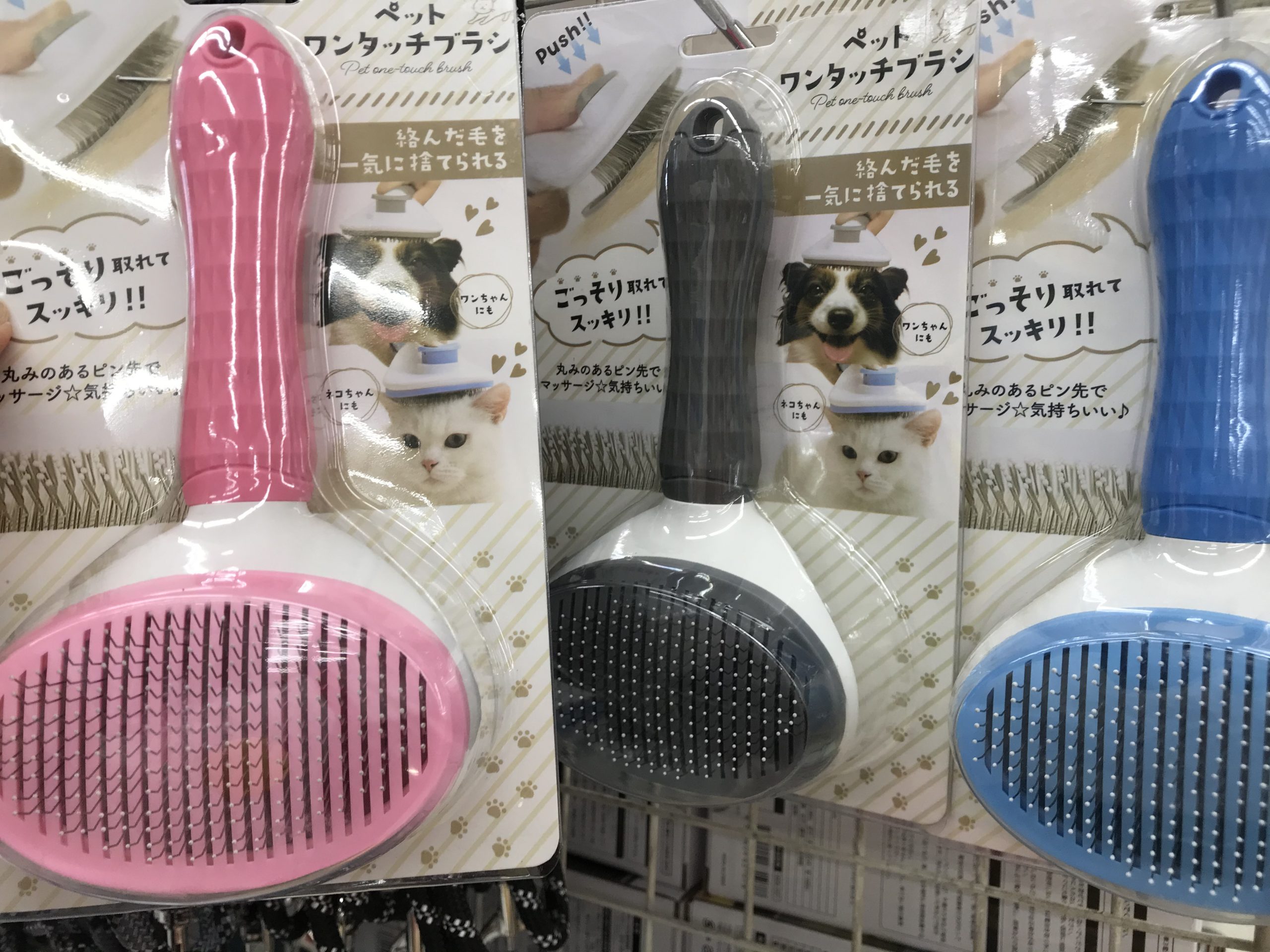 ?飼い猫ちゃんに噛まれちゃう毎日❤︎ランファン担当金森スタッフおすすめ‼️